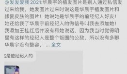 锤子娱乐爆料视频大全最新,视频大全精彩瞬间大盘点