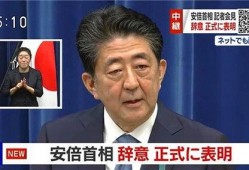 爆料日本首相视频播放大全,视频播放大全背后的真相与内幕