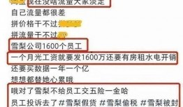 保险公司女员工爆料视频,揭露行业潜规则与内幕真相
