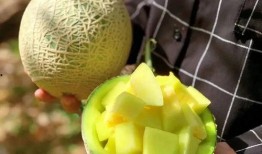 娱乐吃瓜壁纸图片高清,揭秘娱乐圈幕后故事